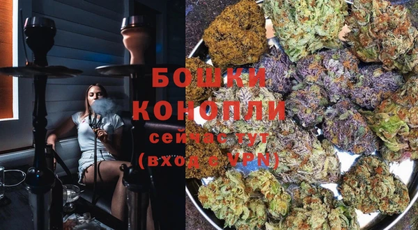 ешки Козельск